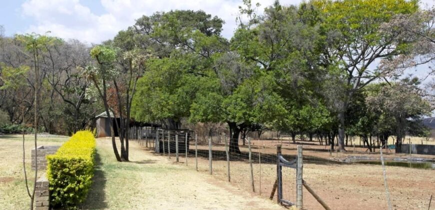 Plaas (36ha) Bees, Skaap, Bok – Warmbad