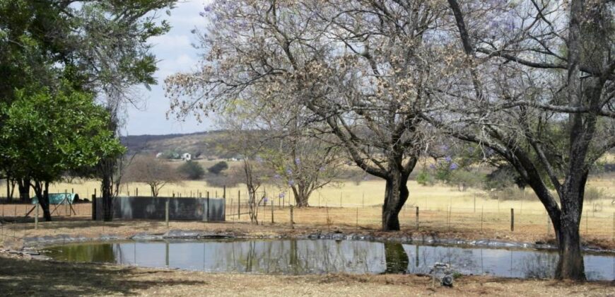 Plaas (36ha) Bees, Skaap, Bok – Warmbad