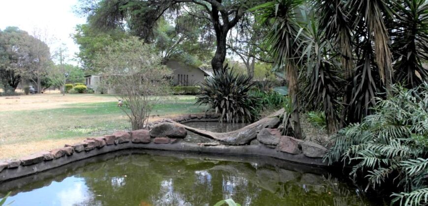 Plaas (36ha) Bees, Skaap, Bok – Warmbad