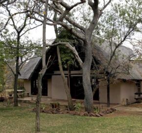 Plaas (36ha) Bees, Skaap, Bok – Warmbad