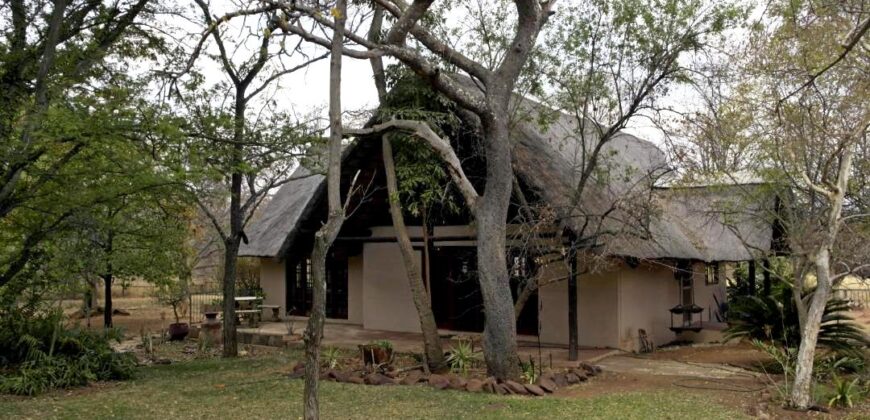 Plaas (36ha) Bees, Skaap, Bok – Warmbad