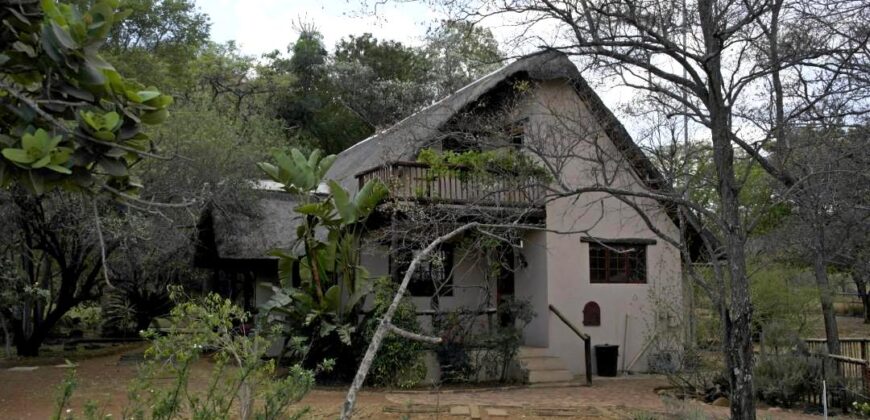 Plaas (36ha) Bees, Skaap, Bok – Warmbad