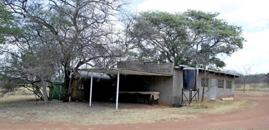 Plaas (36ha) Bees, Skaap, Bok – Warmbad