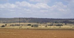 Plaas (36ha) Bees, Skaap, Bok – Warmbad