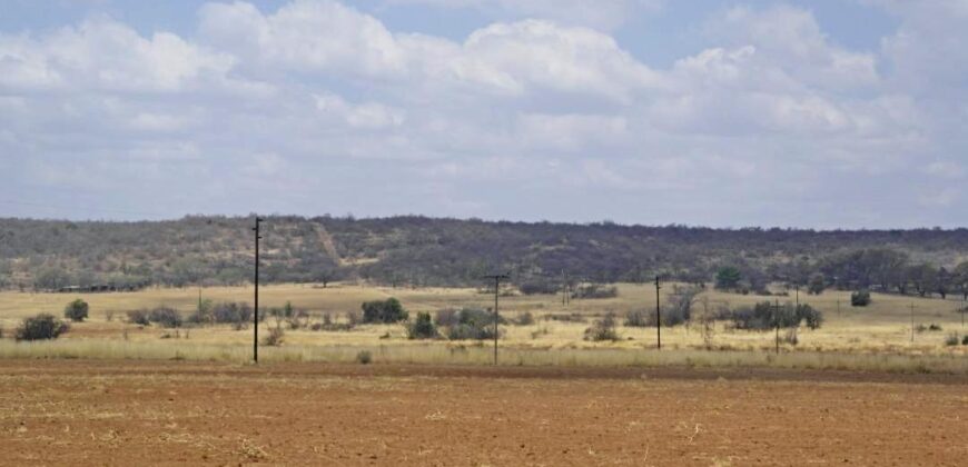 Plaas (36ha) Bees, Skaap, Bok – Warmbad