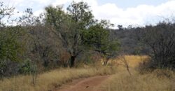 Plaas (36ha) Bees, Skaap, Bok – Warmbad