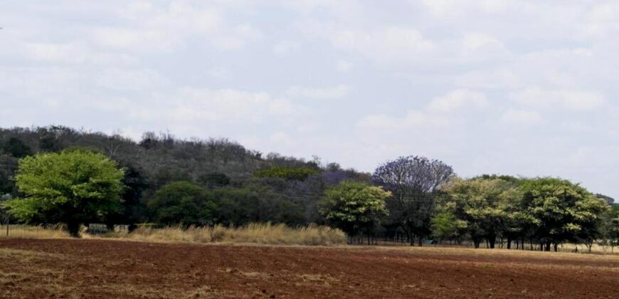 Plaas (36ha) Bees, Skaap, Bok – Warmbad