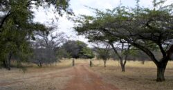 Plaas (36ha) Bees, Skaap, Bok – Warmbad