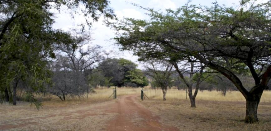 Plaas (36ha) Bees, Skaap, Bok – Warmbad