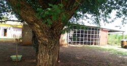 Plaas (21ha) Algemeen – Warmbad